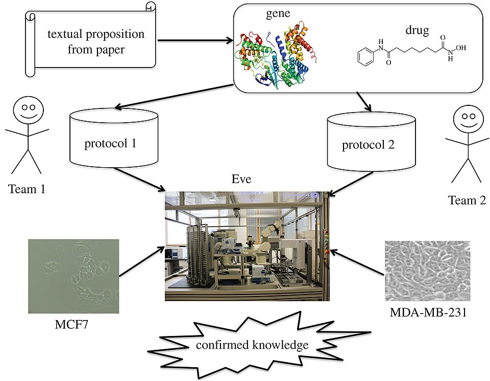 Zdjęcie ilustracyjne: Semi-automated testing of reproducibility and robustness of the cancer biology literature by robot.jpg