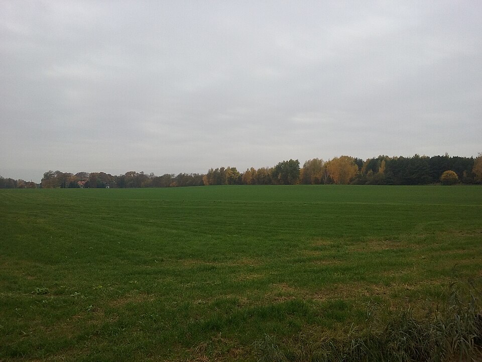 Zdjęcie ilustracyjne: Krzemienica village, Czerniewice gmina, Łódź Voivodeship, Poland. October landscape of the countryside.jpg