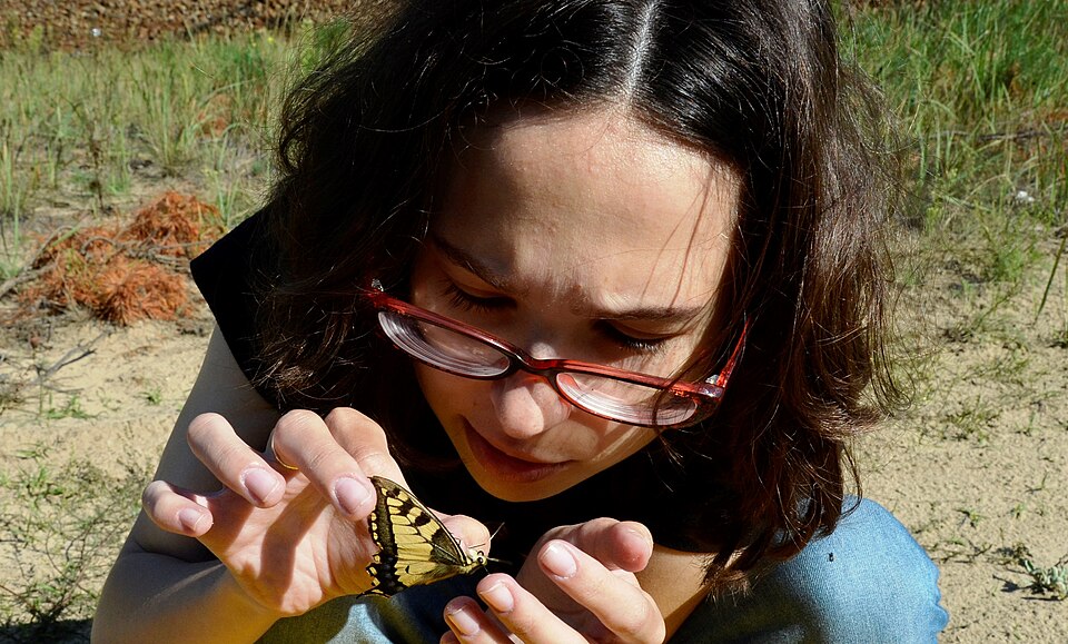 Zdjęcie ilustracyjne: Postgraduate student of Biology and Papilio machaon.jpg