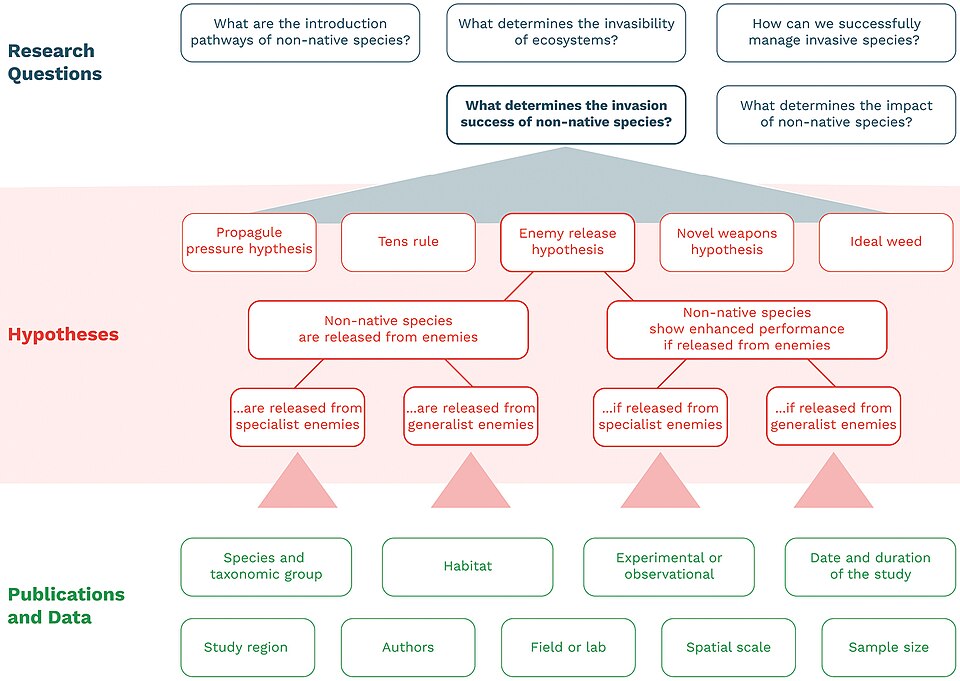 Zdjęcie ilustracyjne: The research landscape in invasion biology as per Jeschke et al. (2021).jpg