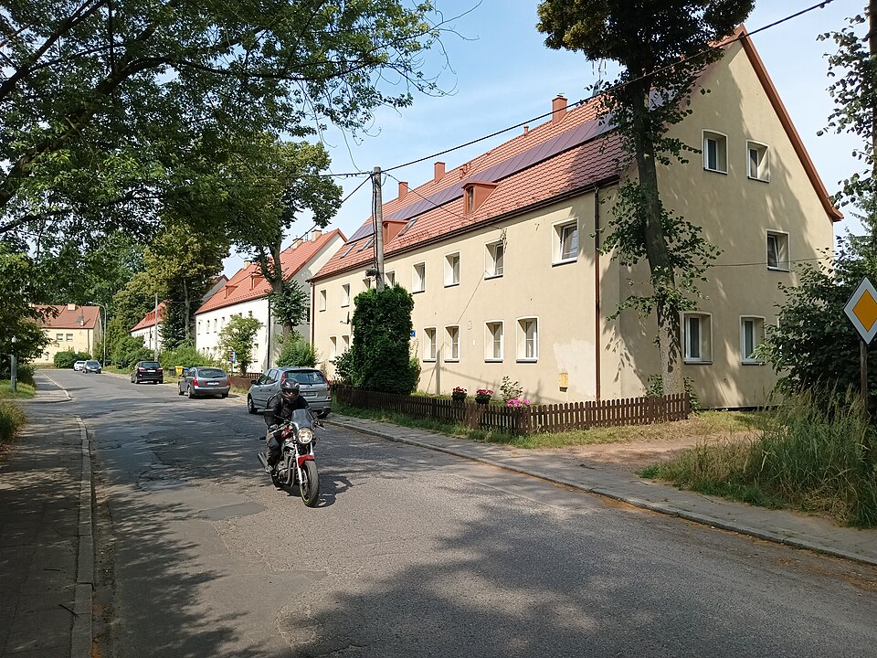 Zdjęcie ilustracyjne: Kalinowa Street in Łódź, Poland.jpg