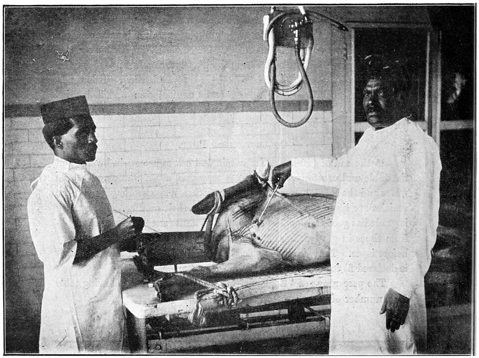Zdjęcie ilustracyjne: The Indian Journal of Medical Research, Volume 8 - Fig. 2.jpg