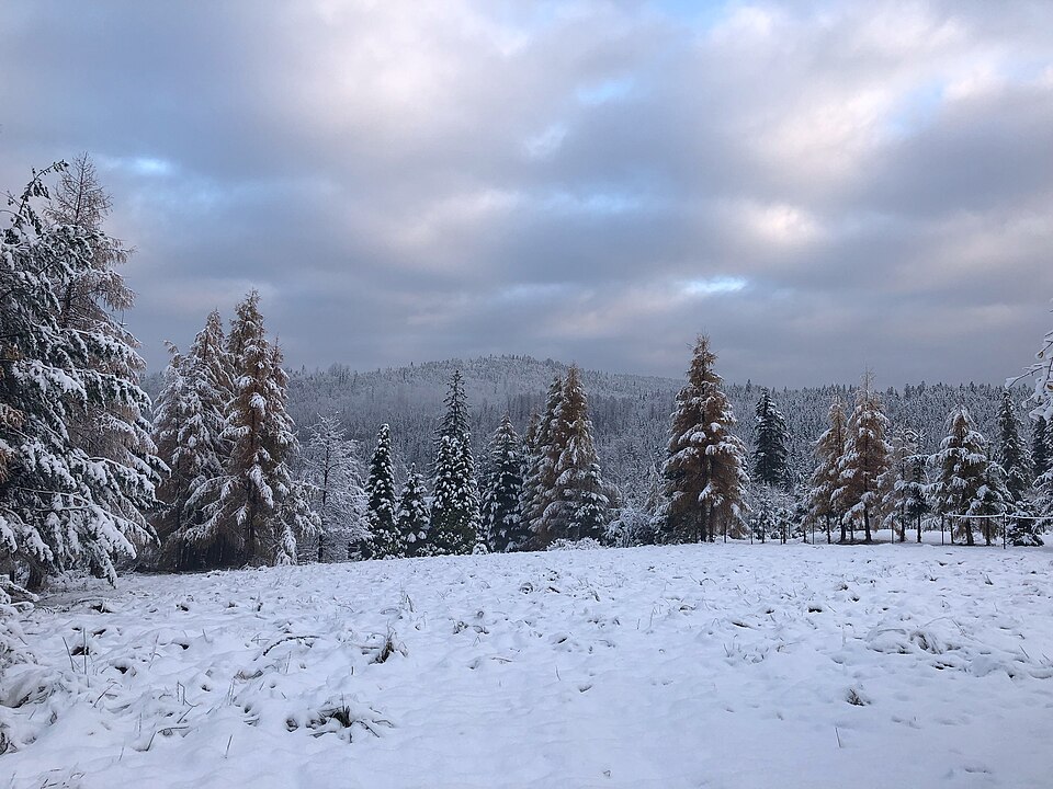 Zdjęcie ilustracyjne: Landscape of Żabnica with view of Romanka, Beskid Żywiecki, silesian voivoidship, Poland, october 2019, 615.jpg