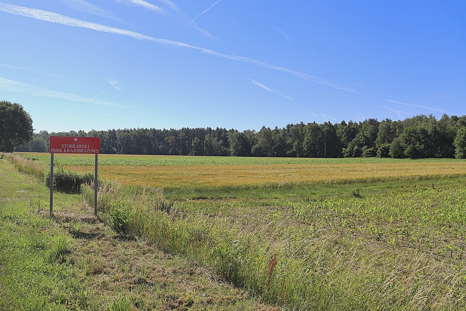 Zdjęcie ilustracyjne: 2024-06 Stobrawski Park Krajobrazowy (01).jpg