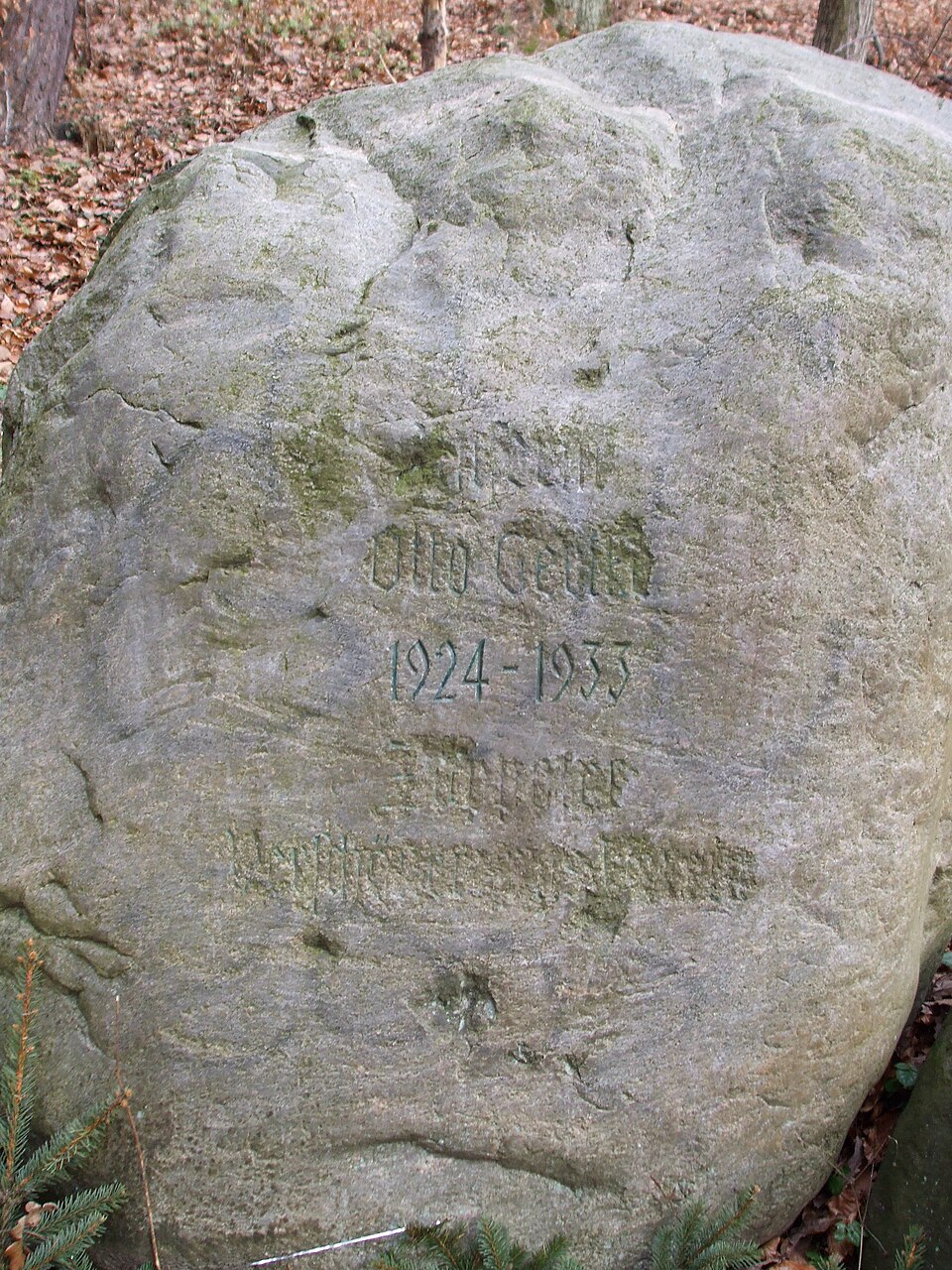 Zdjęcie ilustracyjne: Sopot Trójmiejski Park Krajobrazowy – głaz.JPG
