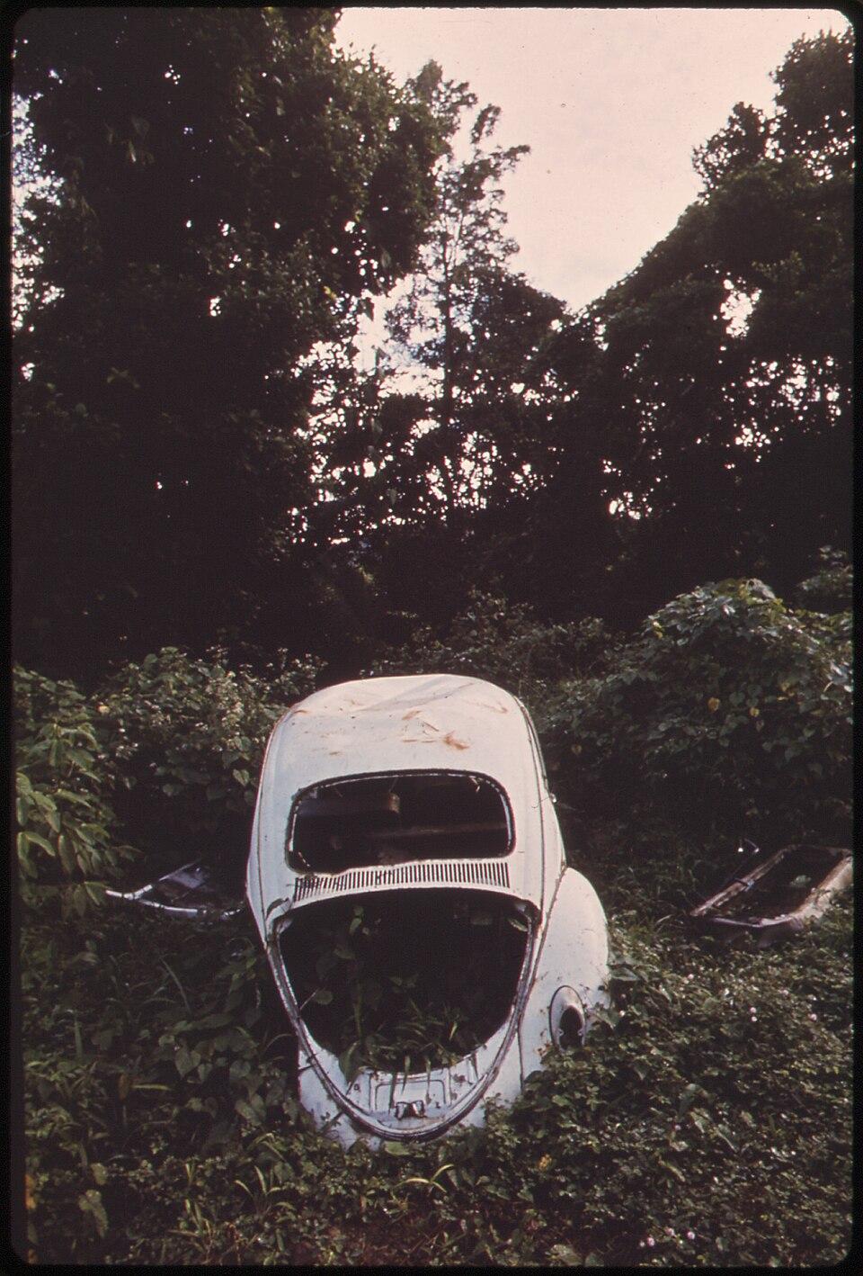 Zdjęcie ilustracyjne: ABANDONED CAR, OFF HIGHWAY IN RIO GRANDE - NARA - 546405.jpg