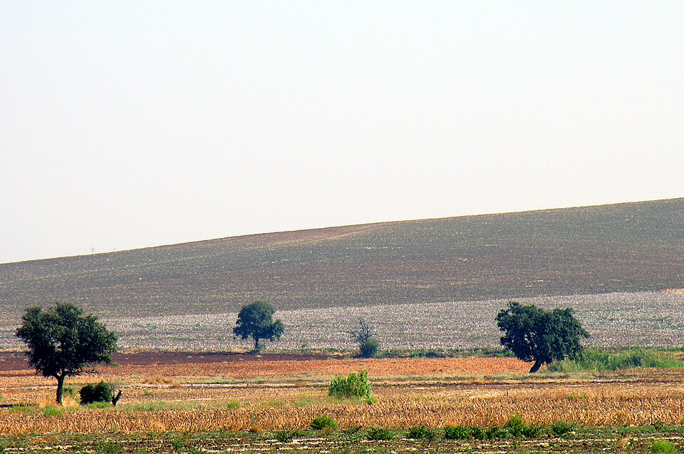 Zdjęcie ilustracyjne: Landscape near Écija, Spain.jpg