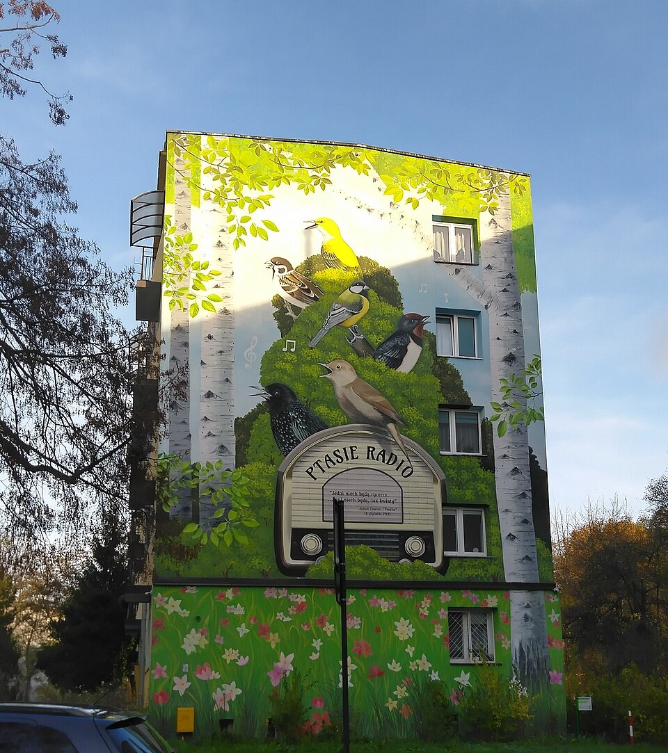 Zdjęcie ilustracyjne: Ptasie Radio, mural w Łodzi (ul. Szpitalna 7a).jpg
