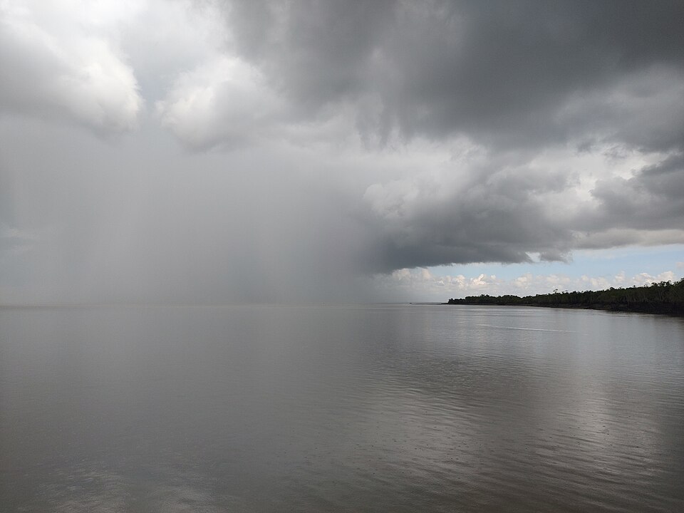 Zdjęcie ilustracyjne: Sundarban Landscape during monsoon 17.jpg