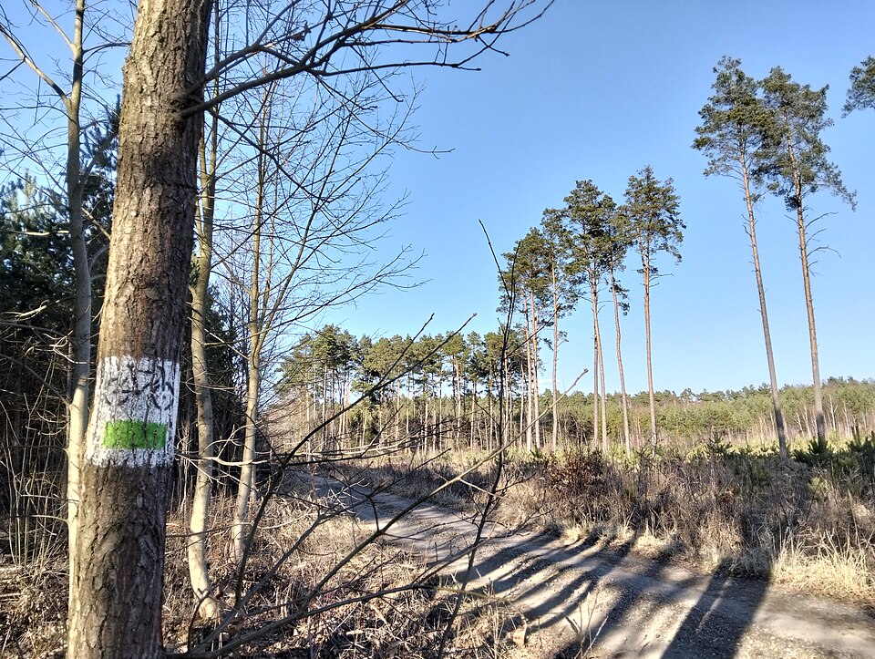 Zdjęcie ilustracyjne: Park Krajobrazowy Stawki (Lipnik).jpg