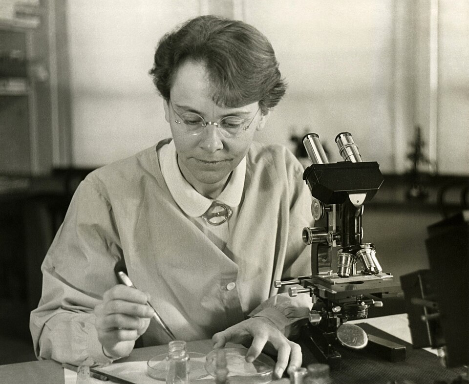 Zdjęcie ilustracyjne: Barbara McClintock (1902-1992) shown in her laboratory in 1947.jpg