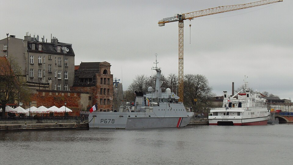 Zdjęcie ilustracyjne: Pluvier on the Motława in Gdańsk (Poland).JPG
