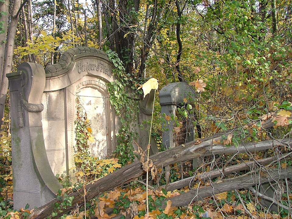 Zdjęcie ilustracyjne: New Jewish Cemetery of Wroclaw (Poland)8.jpg