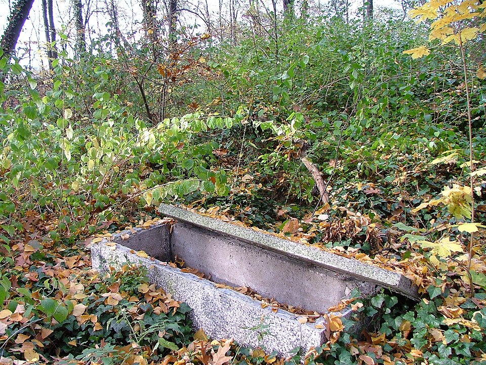 Zdjęcie ilustracyjne: New Jewish Cemetery of Wroclaw (Poland)13.jpg