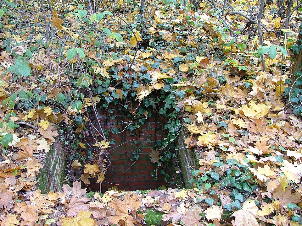 Zdjęcie ilustracyjne: New Jewish Cemetery of Wroclaw (Poland)14.jpg