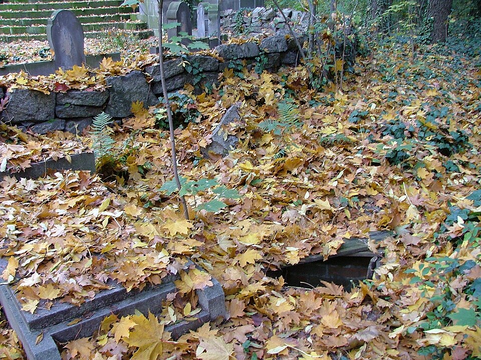 Zdjęcie ilustracyjne: New Jewish Cemetery of Wroclaw (Poland)16.jpg