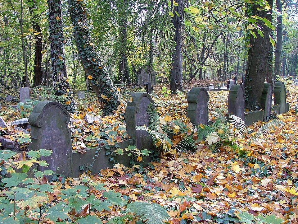 Zdjęcie ilustracyjne: New Jewish Cemetery of Wroclaw (Poland)17.jpg