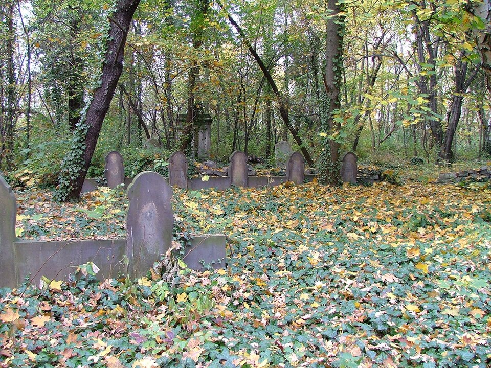 Zdjęcie ilustracyjne: New Jewish Cemetery of Wroclaw (Poland)20.jpg