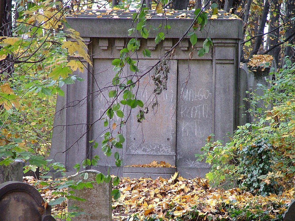 Zdjęcie ilustracyjne: New Jewish Cemetery of Wroclaw (Poland)21.jpg