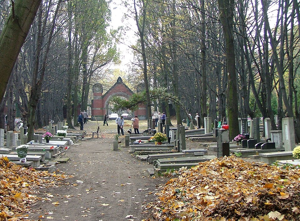 Zdjęcie ilustracyjne: New Jewish Cemetery of Wroclaw (Poland)22.jpg