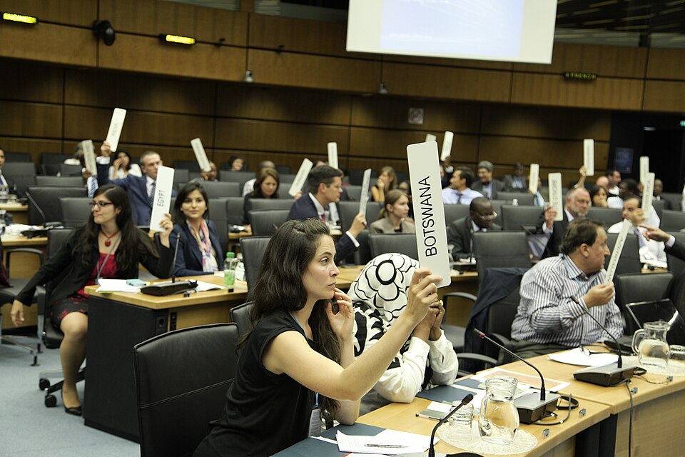 Zdjęcie ilustracyjne: CTBT Diplomacy & Public Policy course - July 2013 (9378910150).jpg