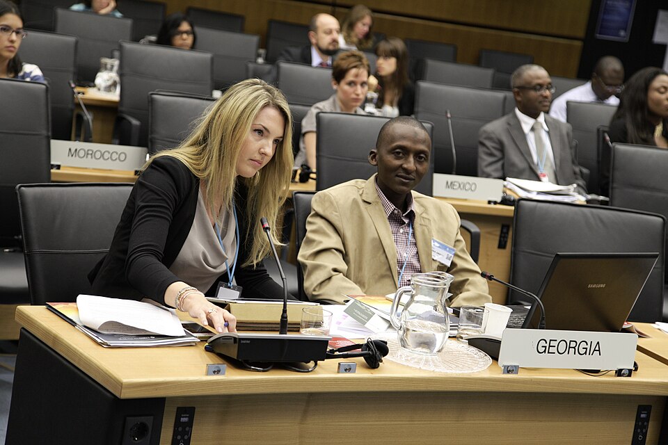 Zdjęcie ilustracyjne: CTBT Diplomacy & Public Policy course - July 2013 (9376128615).jpg