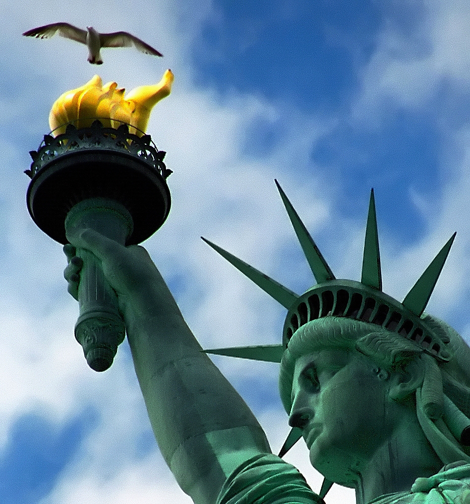 Zdjęcie ilustracyjne: New York - Liberty Island "Statue of Liberty & Seagull" (2928233768).jpg