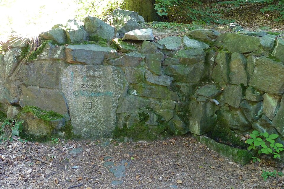 Zdjęcie ilustracyjne: Ślężański Park Krajobrazowy - źródło Lustiga.jpg