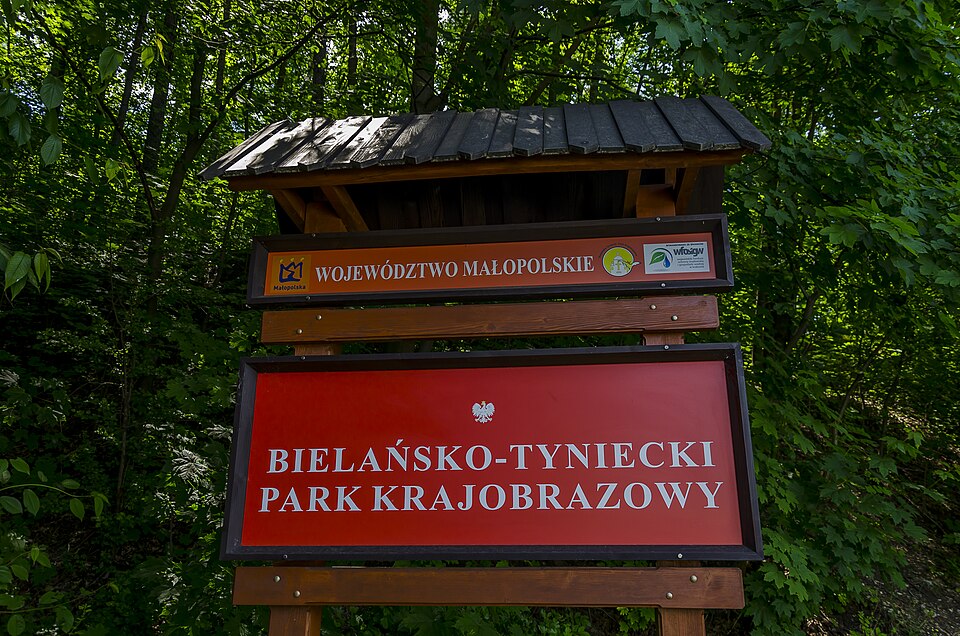Zdjęcie ilustracyjne: Dębniki Zachód, Kraków, Poland - panoramio (93).jpg