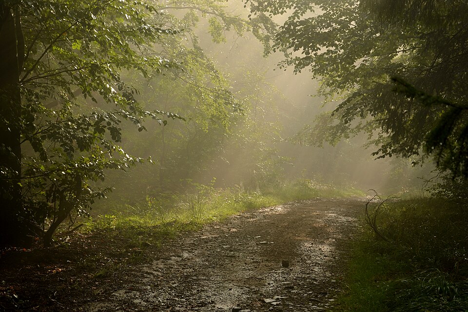 Zdjęcie ilustracyjne: Beskid Mały Mountains (PL).jpg