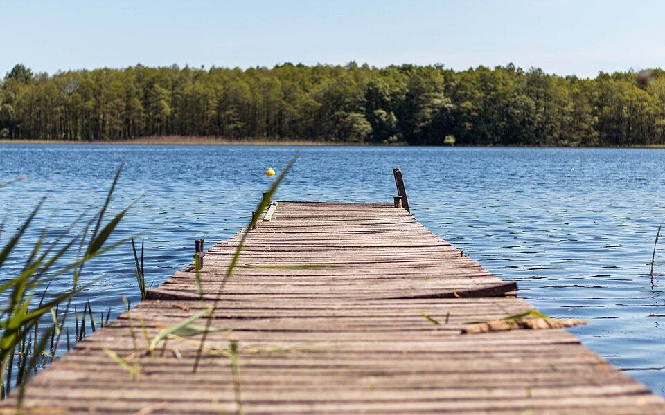Zdjęcie ilustracyjne: Uraz, Drawski Park Krajobrazowy (43523908471).jpg
