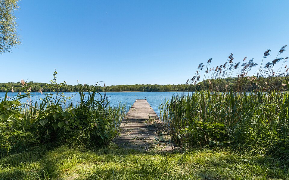 Zdjęcie ilustracyjne: Uraz, Drawski Park Krajobrazowy (43523896881).jpg