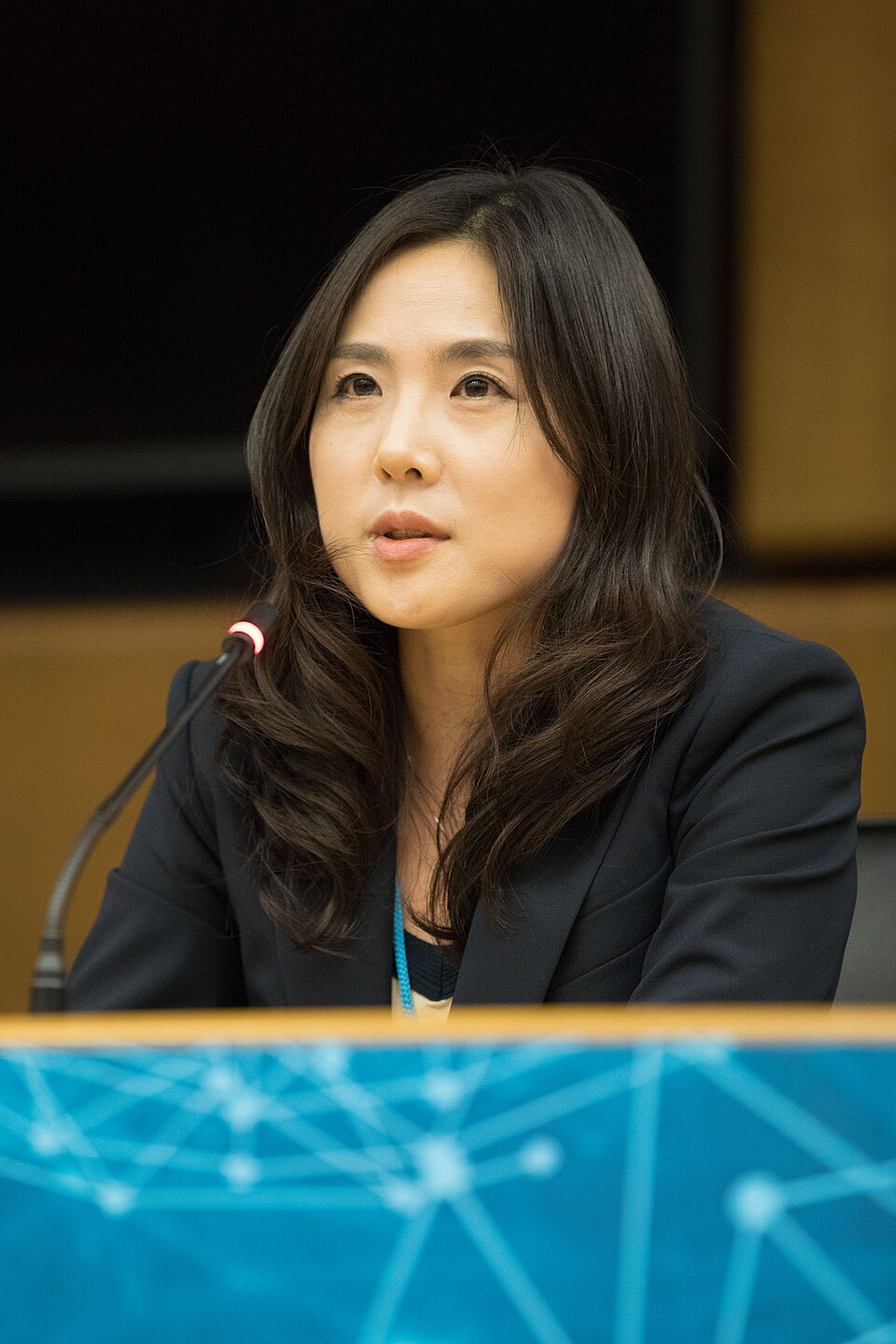 Zdjęcie ilustracyjne: 2nd CTBT Science Diplomacy Symposium (42404309881).jpg