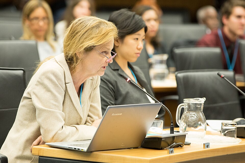 Zdjęcie ilustracyjne: 2nd CTBT Science Diplomacy Symposium (42404299121).jpg