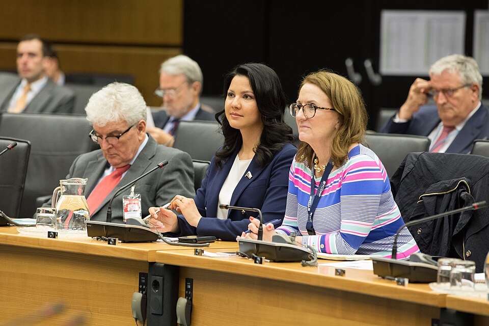 Zdjęcie ilustracyjne: 2nd CTBT Science Diplomacy Symposium (41680521814).jpg
