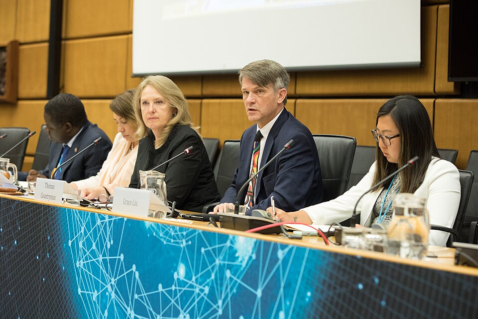 Zdjęcie ilustracyjne: 2nd CTBT Science Diplomacy Symposium (28530366258).jpg