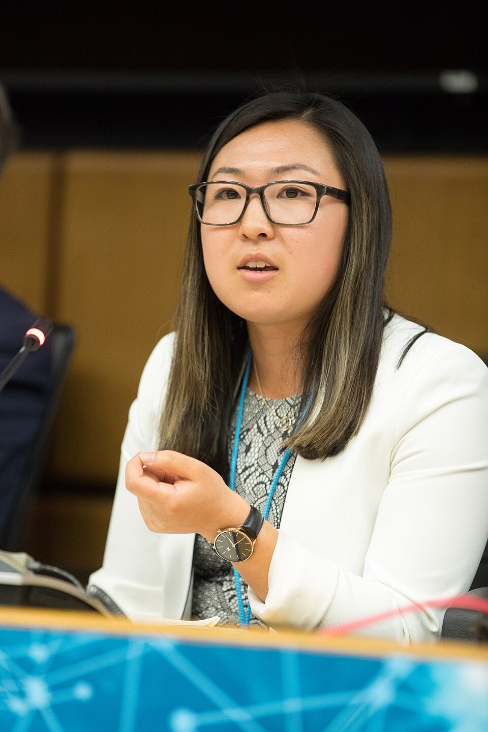 Zdjęcie ilustracyjne: 2nd CTBT Science Diplomacy Symposium (41501241425).jpg