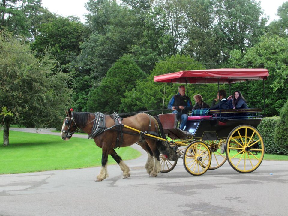 Zdjęcie ilustracyjne: Jaunting Car (49261639266).jpg