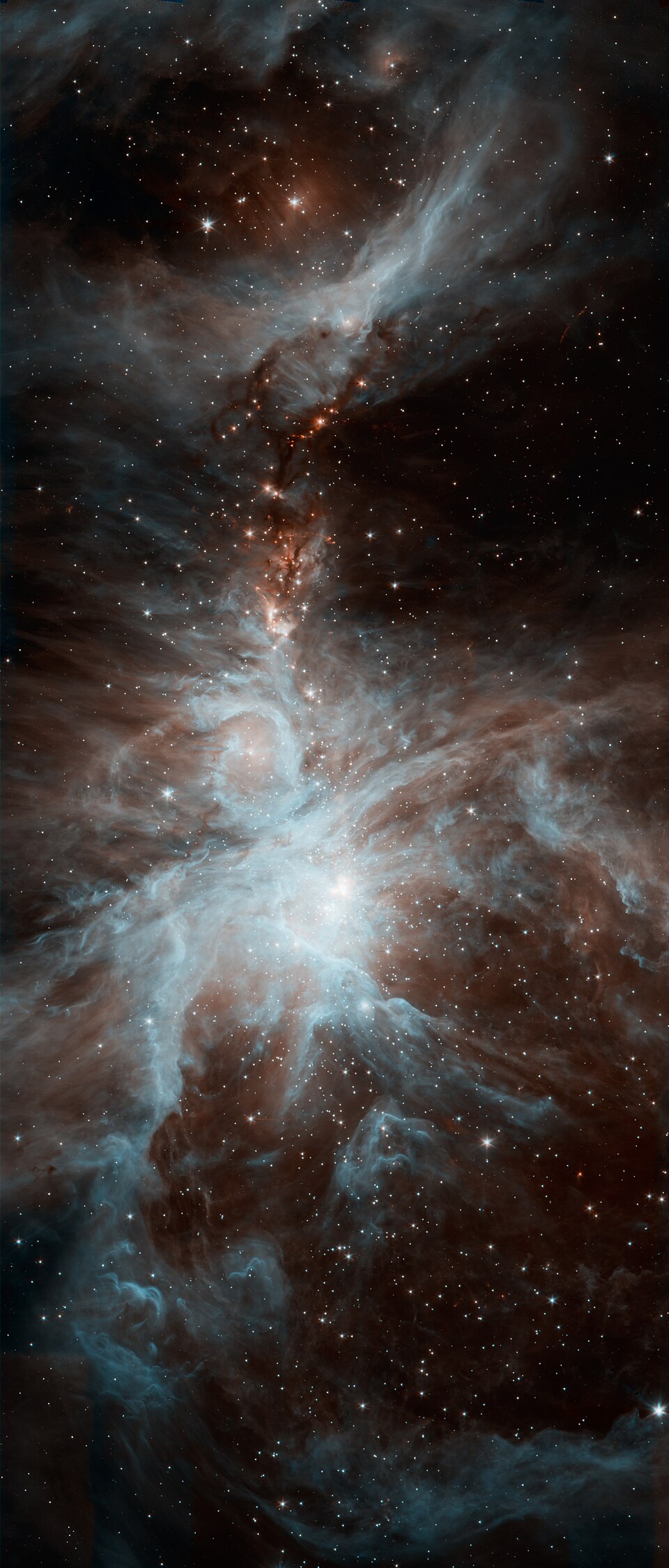 Zdjęcie ilustracyjne: Spitzer's Orion.jpg