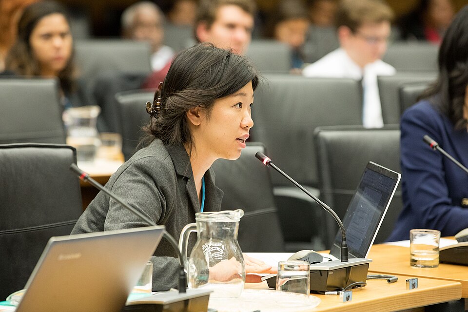 Zdjęcie ilustracyjne: 2nd CTBT Science Diplomacy Symposium (42404299471).jpg