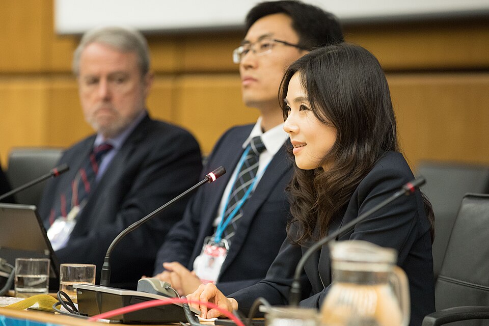Zdjęcie ilustracyjne: 2nd CTBT Science Diplomacy Symposium (41501712055).jpg