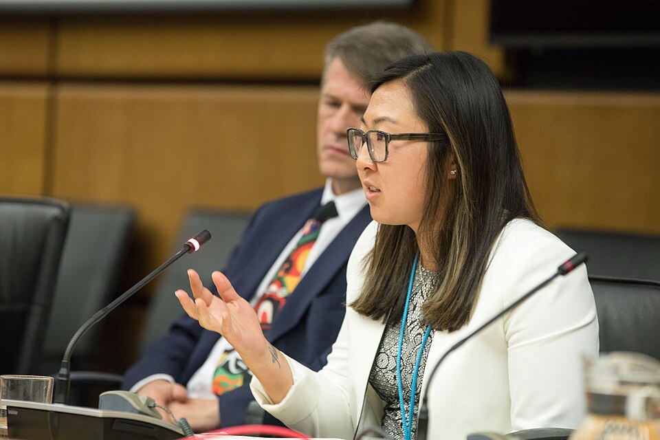 Zdjęcie ilustracyjne: 2nd CTBT Science Diplomacy Symposium (40595629950).jpg